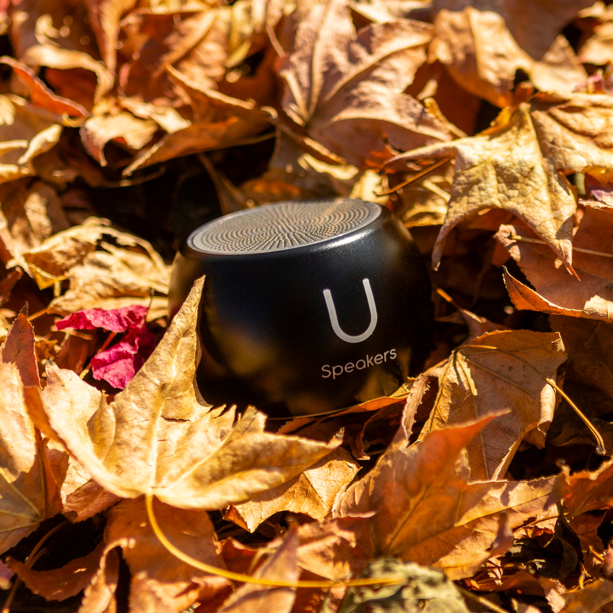 U Boost Speaker Black - U Speakers