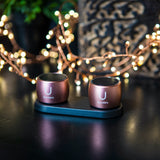 U Pro Speakers Rose Gold- with Charging Tray - U Speakers